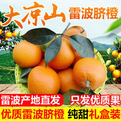 四川大凉山雷波脐橙新鲜橙子大果新鲜10斤当季整箱水果手剥橙包邮