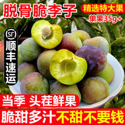 李子水果新鲜四川脱骨脆李子5斤茵红李绥江半边红蜂糖脆李子包邮