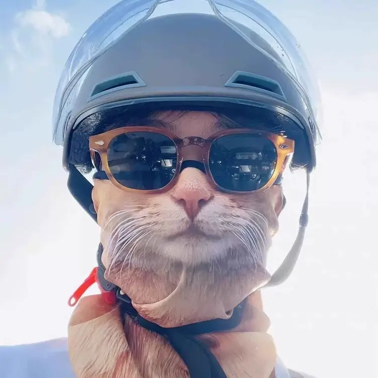 小猫公路车骑行面罩防晒男女款情侣冰丝摩托车自行车夏季个性搞笑