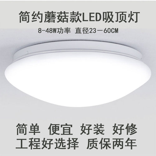 白色老款式简约椭半圆LED吸顶灯