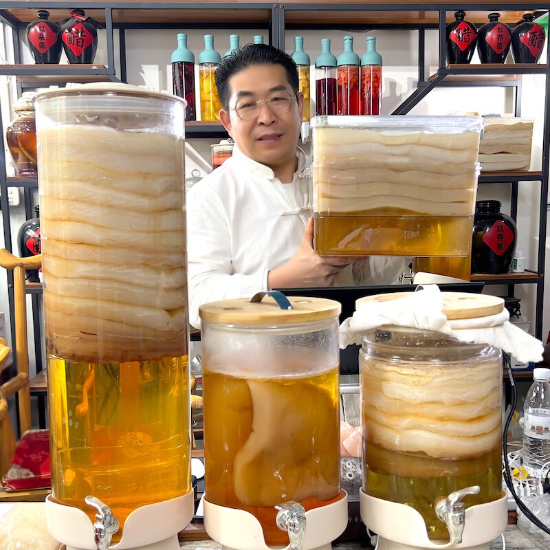 厚2厘米正宗红茶菌酵素妈妈菌种海宝胃宝木醋杆菌醋酸菌康普茶