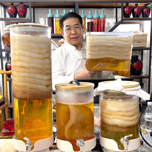 厚2厘米正宗红茶菌酵素妈妈菌种海宝胃宝木醋杆菌醋酸菌康普茶