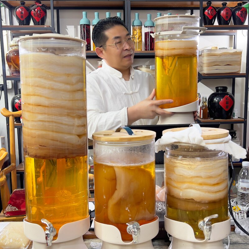 共2斤三年红茶菌老菌厚2厘米酵素妈妈菌种醋蛾子海宝胃宝康普茶
