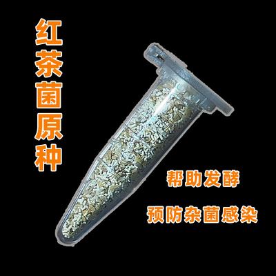 红茶菌原种多菌种增强活性