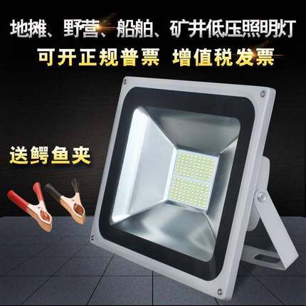 12vled灯泡投光灯12V伏24v48v夜市照明摆地摊LED节能电瓶灯泡