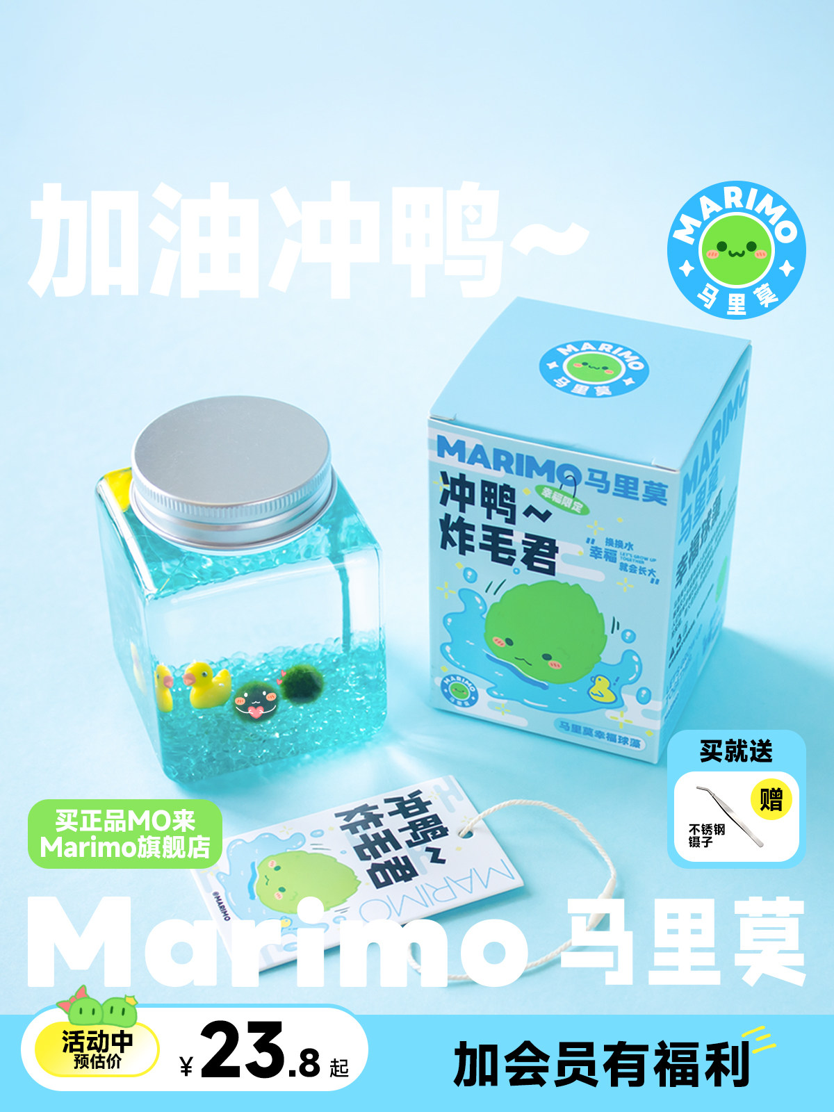 marimo马里莫 冲鸭炸毛君 幸福球藻好养植物水培生态瓶微景观礼物