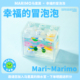 好养水培绿植物桌面盆栽创意新年礼物 幸福 冒泡泡 Marimo马里莫