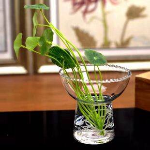 ins風(fēng)多肉植物水仙創(chuàng)意玻璃花瓶擺件插花器皿簡(jiǎn)約水培家居裝 日式
