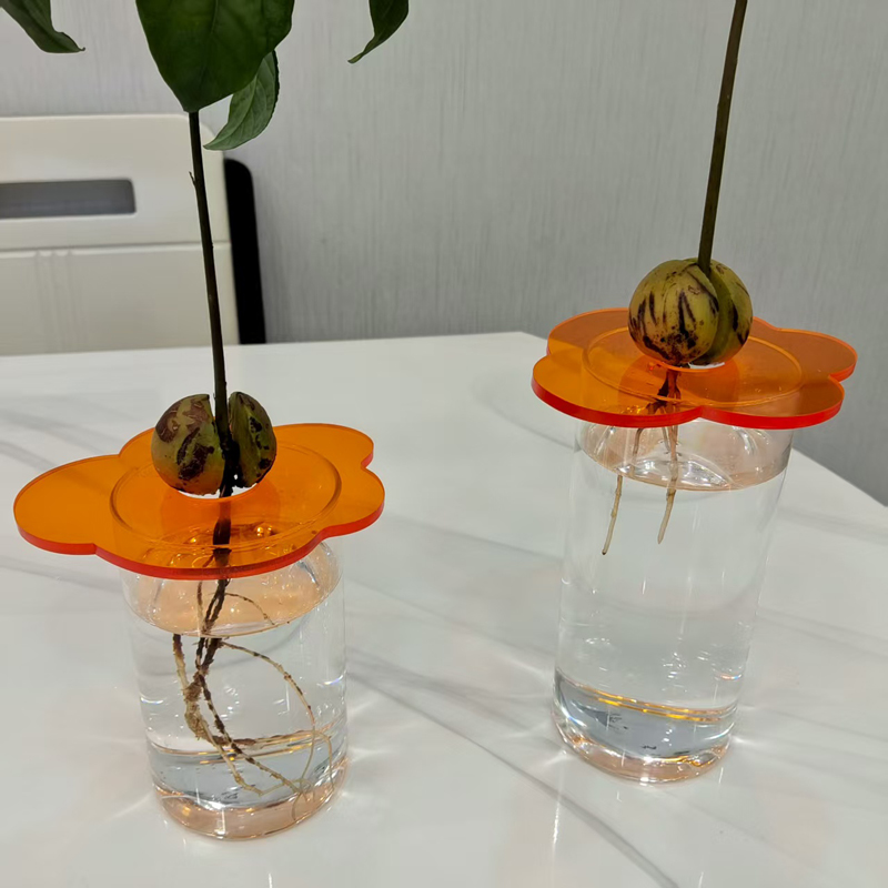 小清新风格牛油果水养瓶子