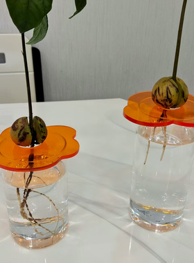 韩式牛油果水培花瓶小清新风格养牛油果果核种子水培玻璃器皿容器