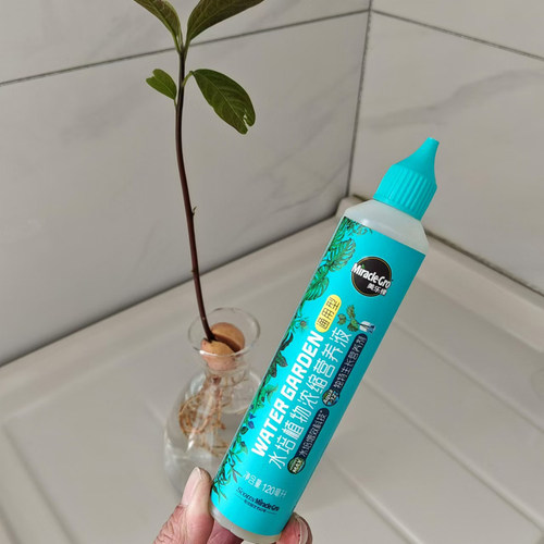 适合水养牛油果的营养液