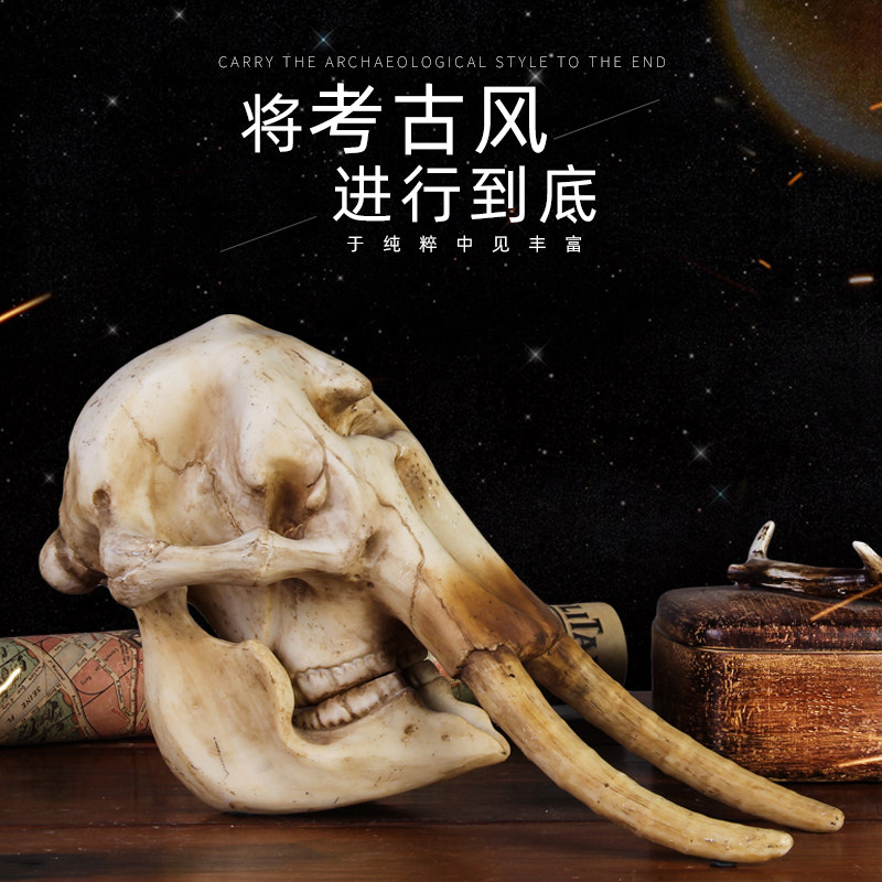 仿真大象头骨猴头骨狼头骨豹头骨动物骨骼化石科普教学道具摆件