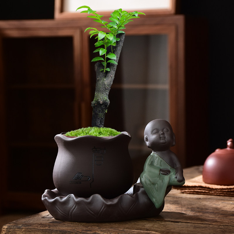 紫砂陶瓷2021新款小和尚禅意花盆文竹绿植苔藓球盆栽客厅桌面摆件