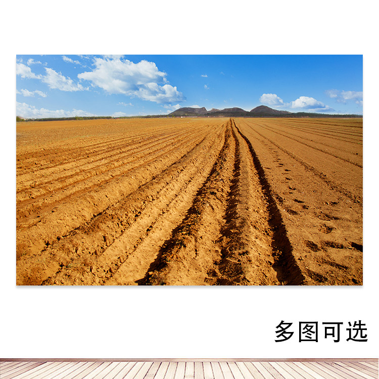 黄土地装饰画黄色土壤风景画黄土地黄泥土自粘画风水画墙画定制