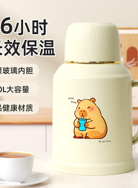 暖水壶办公室随手杯子家用暖瓶开水瓶宿舍学生婴儿保温水壶