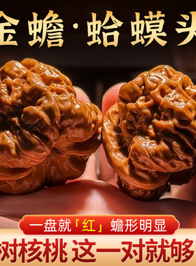 延庆老树蛤蟆头核桃文玩开背盘玩