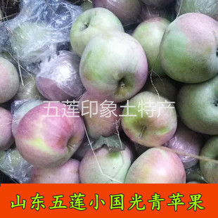 山东省正宗五莲小国光苹果老树绿色新鲜水果酸甜丑苹果2024新果