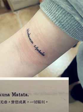 Hakuna matata永远快乐没有烦恼果汁草本纹身贴个性英文刺青防水