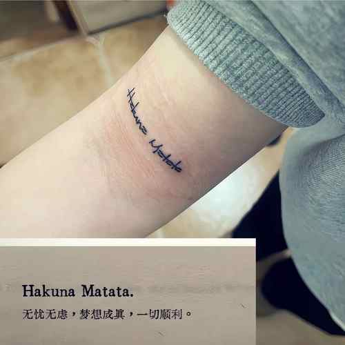 Hakunamatata果汁草本纹身贴防水