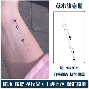 流星划过的痕迹纹身手臂手腕草本果汁持久高颜值ins防水刺青贴纸