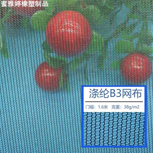 涤纶B3网布帐篷防蚊户外防尘过滤网眼布贴合网纱平布