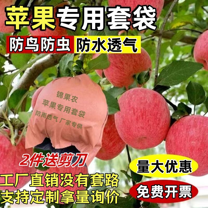 苹果专用套袋防水防虫