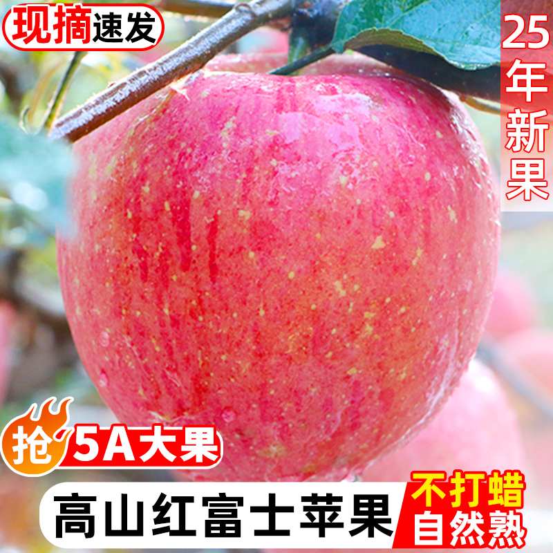 陕西高山红富士苹果脆甜