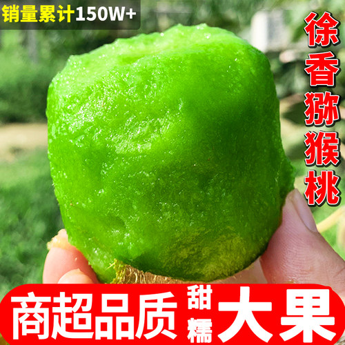 【徐香猕猴桃优选TOP】商超一级