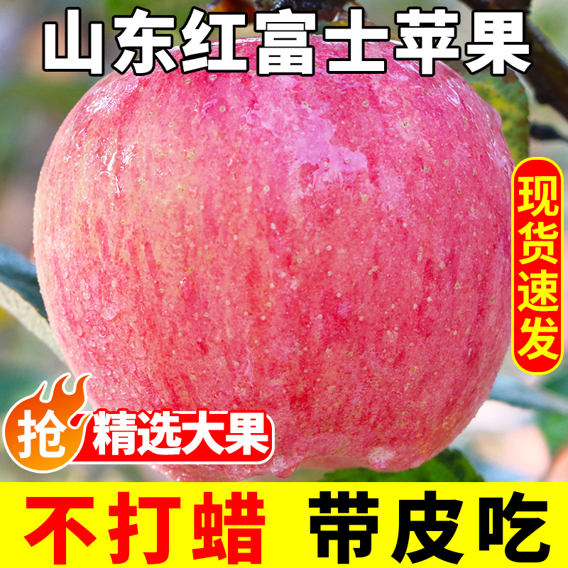 山东红富士丑苹果水果新鲜脆甜平果当季整箱10小冰糖心批发包邮斤