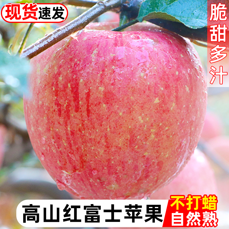 【已售30W】陕西红富士苹果脆甜