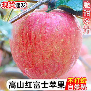 陕西红富士苹果新鲜水果脆甜应当季 包邮 斤整箱冰糖心丑平果