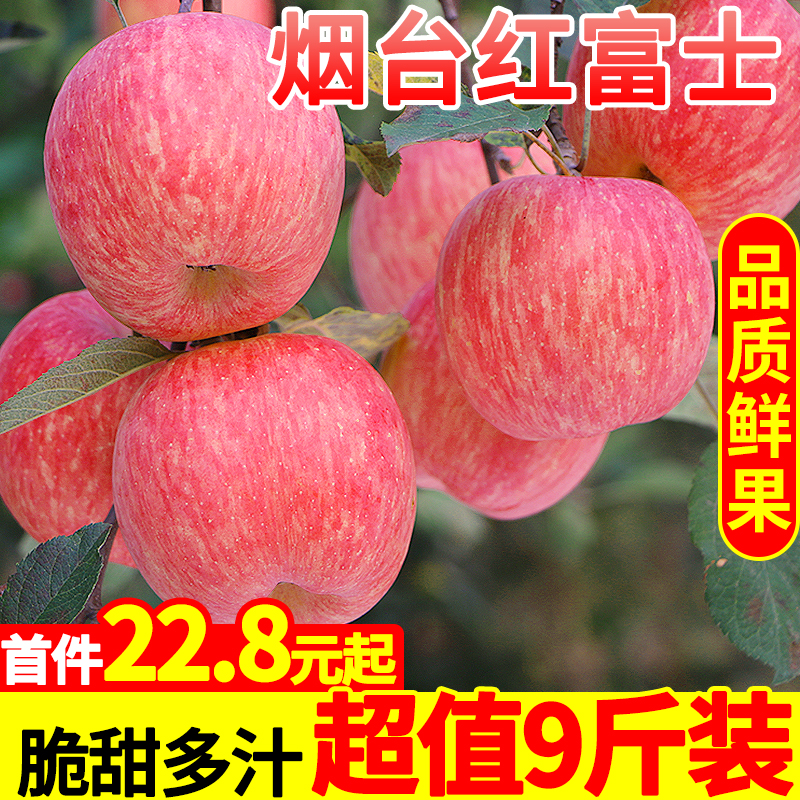 现摘山东烟台红富士苹果水果10新鲜应季斤特产脆甜当季冰糖心整箱
