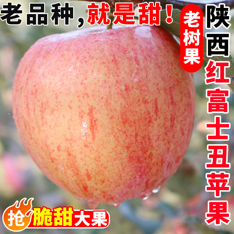 陕西红富士丑苹果新鲜水果应当季老树果山冰糖心大萍果一整箱批发,水产肉类/新鲜蔬果/熟食,苹果,淘宝优惠券,粉丝福利购,淘宝优惠卷