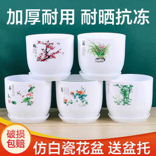 梅兰竹菊特价清仓带托盘简约创意个性家用阳台绿萝吊兰多肉小花盆