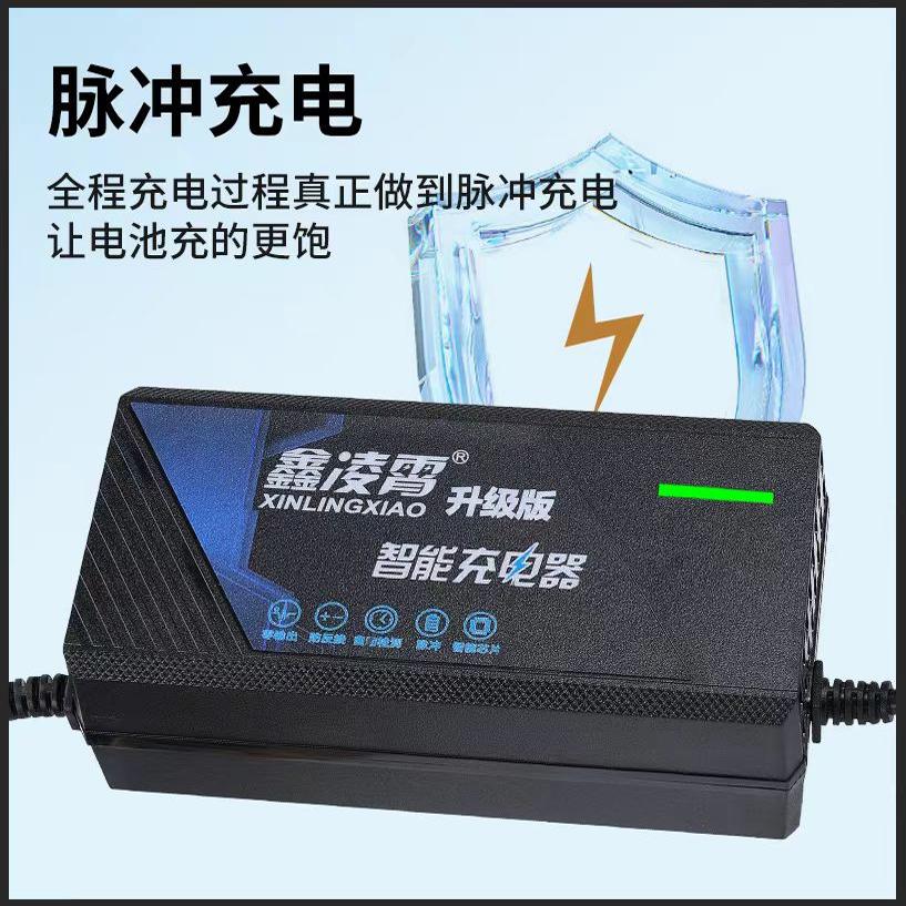 电动车电瓶充电器60V20AH适用新日爱玛雅迪小刀欧派立马台铃通用