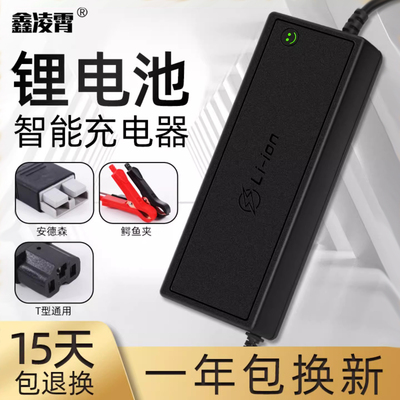 12V20A30A12.6V电动堆高机房车储能锂电池电瓶充电器房车高观光车