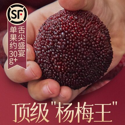 【“杨梅王”奢华送礼】浙江正宗仙居东魁杨梅新鲜特大杨梅礼盒装