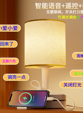 台灯卧室床头灯多功能插座一体护眼LED灯新款语音控制智能小夜灯