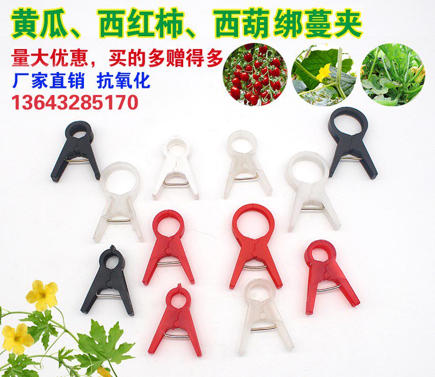 灭火器挂架 固定落蔓种植绑蔓扶蔓夹子塑料落秧夹子温室甜瓜夹子|msdalam kategori penghantaran bunga/bunga simulasi/tumbuhan berkebun, Gardening Supplies, Peralatan Perkebunan lain - dari Buy2taobao.com untuk memberikan perkhidmatan ejen Taobao profesional membeli