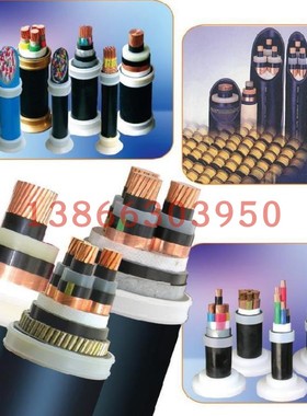 ​BPYJVP2P22     屏蔽 钢带铠装变频电缆 SPCFC-PVC-2YKCGY