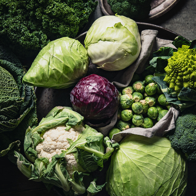 虹越园艺家蔬菜种子菠菜生菜甘蓝