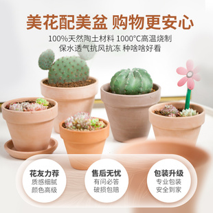 虹越帝罗马陶盆国际盆粗陶透气白陶绿植花卉室内种植盆红陶简约