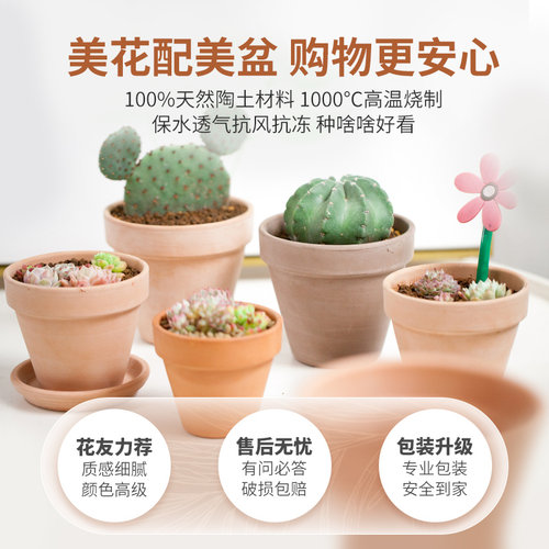 虹越意大利进口帝罗马国际花盆