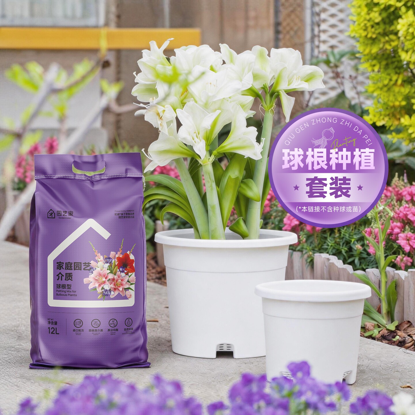 种球种植套装百合朱顶红大丽花球根营养土介质嘉伯瑞塑料花盆懒人图片