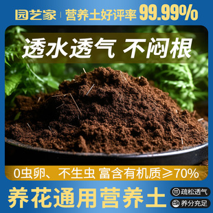 虹越营养土种花通用专用泥炭椰砖土壤庭院花卉种植土种球有机花泥