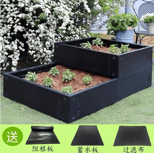 碧奥兰一米菜园懒人种菜种花