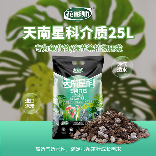 阔叶亮叶龟背竹热植专用营养土