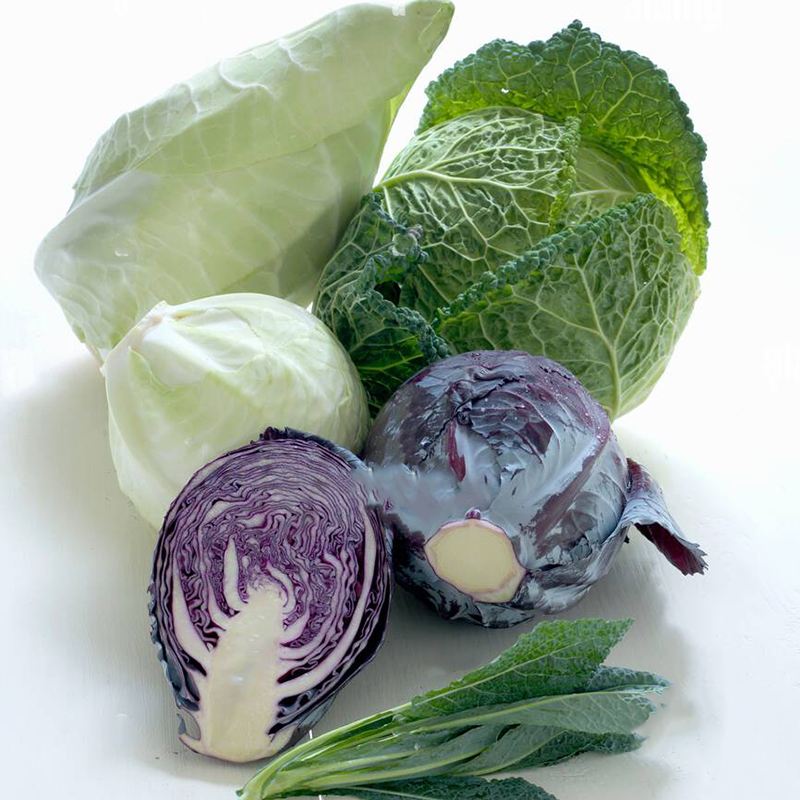 虹越园艺家卷心菜种子籽四季蔬菜白菜包菜家庭种植春秋播阳台盆栽