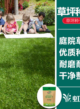 虹越萌吖吖进口草坪草皮种子高羊茅黑麦狗牙根白三叶草春季秋播草