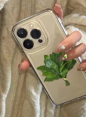 新款爆款去晦柚子叶适用iPhone17Promax手机壳苹果16.15.14